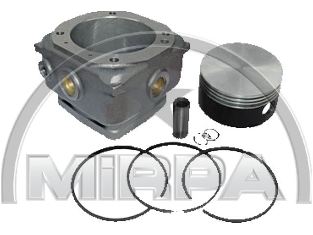2196 | CYLINDER LINER WITH PISTON&RINGS 